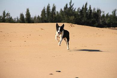 挖矿塔防RPG 《深岩破裂者》正式版发售，首周30%折扣